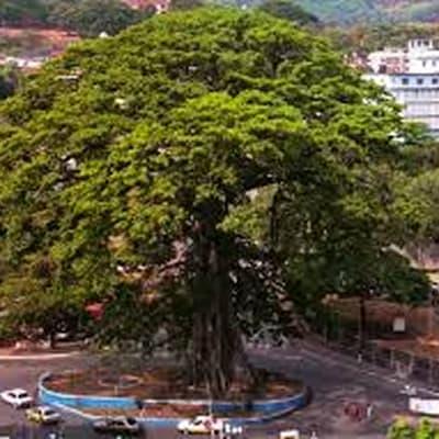 sierra leone